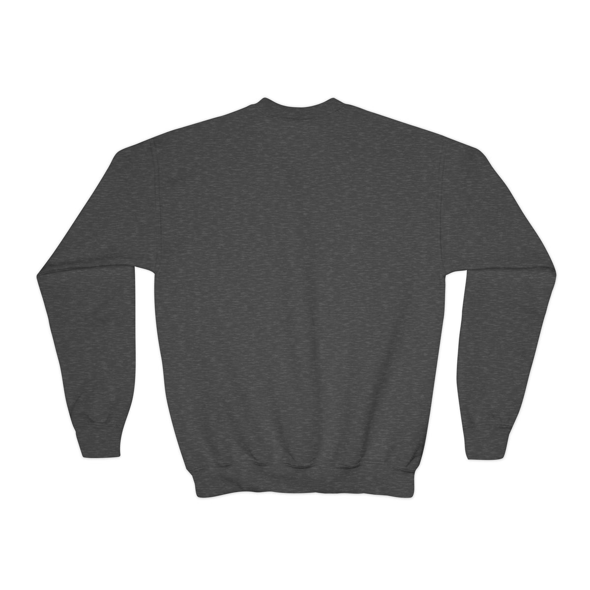 Youth Crewneck Sweatshirt Alegría – ropa cristiana para niños – foto 10