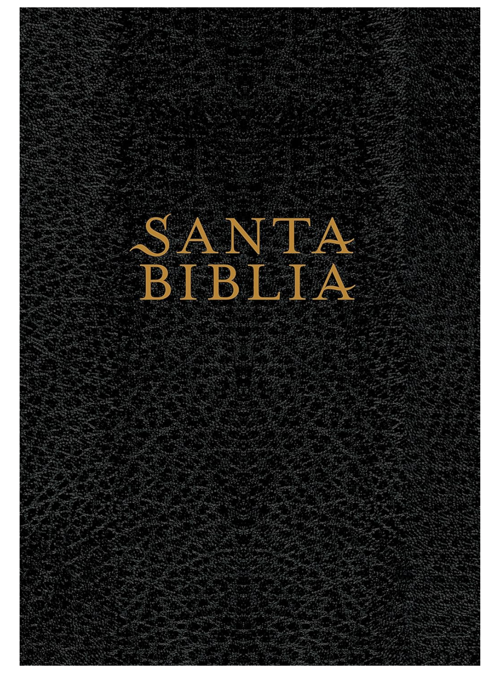 Santa Biblia NTV, Edición súper gigante (Letra Roja, SentiPiel, Negro) (Spanish Edition) – Biblia en español – foto 2