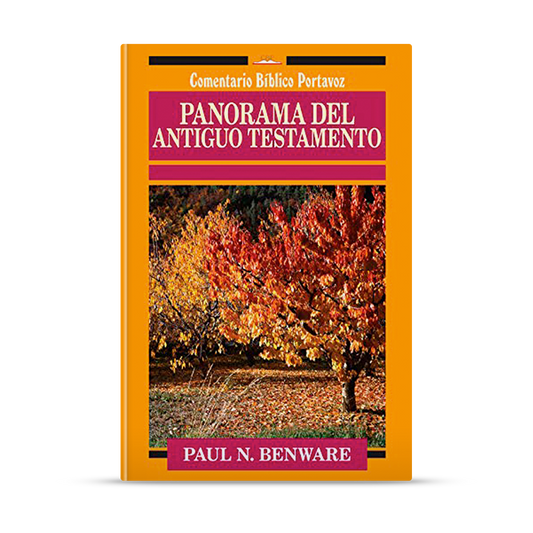 Panorama del Antiguo Testamento