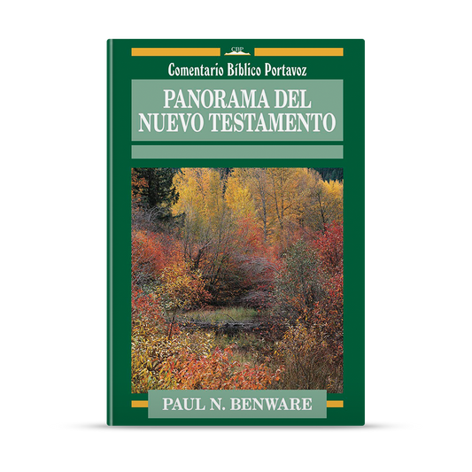 Panorama del Nuevo Testamento